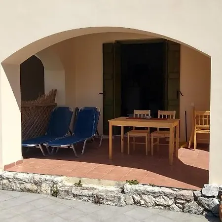 Marilena Olive Tree Gavalochori